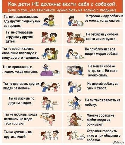 дети и собаки